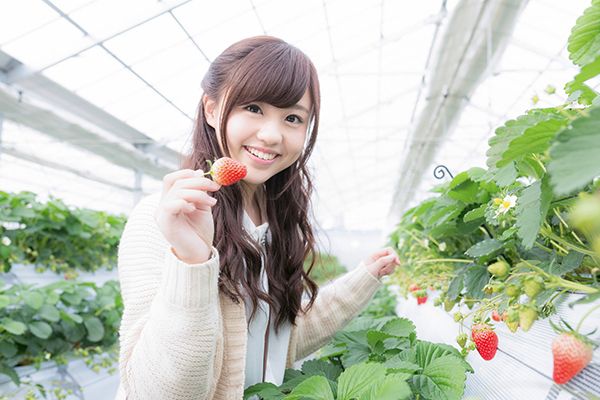 うきはのフルーツ狩り